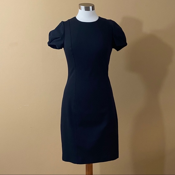 Banana Republic Dresses & Skirts - Sz 6 Banana Republic Bubble Sleeve Dress